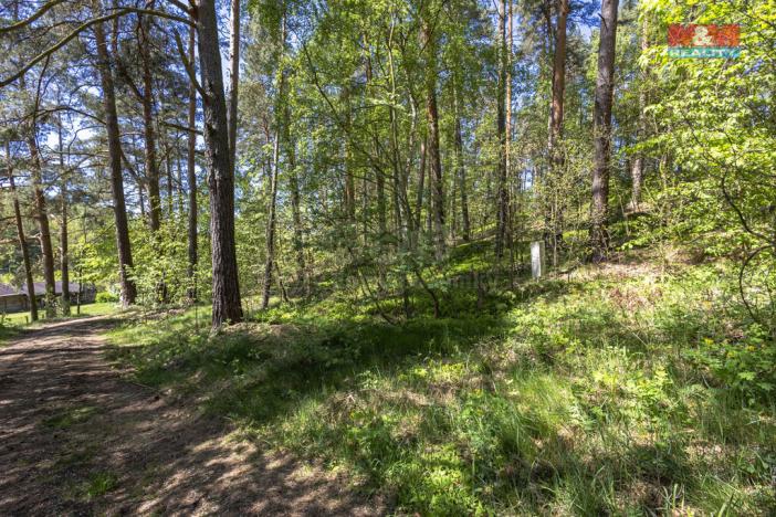 Prodej zahrady, Sloup v Čechách, Hřbitovní, 487 m2