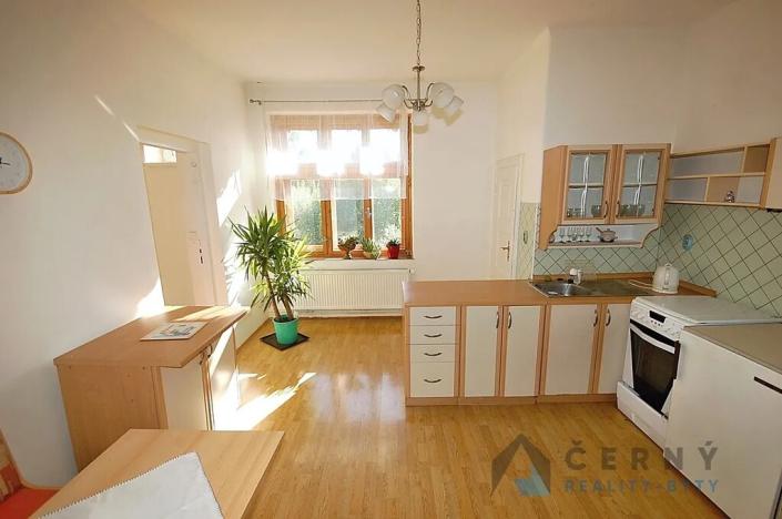 Pronájem bytu 1+1, Liberec, Americká, 46 m2
