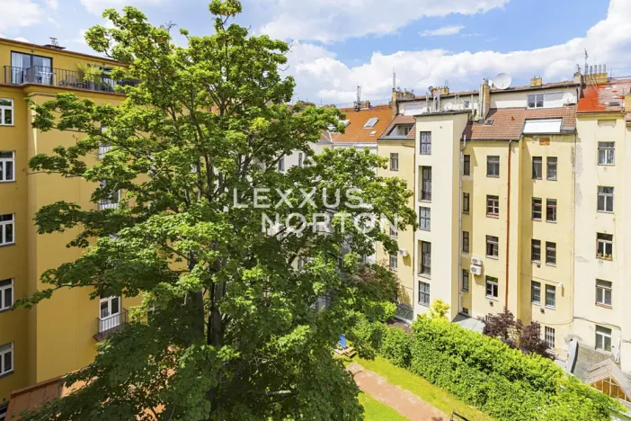 Pronájem bytu 4+kk, Praha - Nové Město, Na Moráni, 155 m2