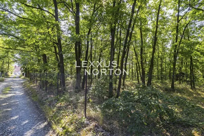 Prodej pozemku pro bydlení, Březová-Oleško, Spojovací, 1702 m2