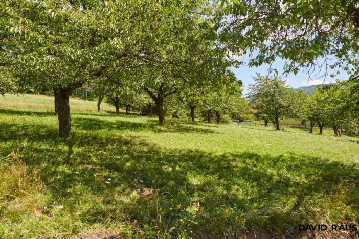 Prodej pozemku pro bydlení, Vyškovec, 2226 m2