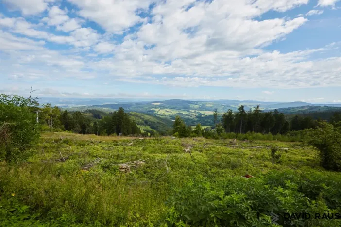 Prodej pozemku pro bydlení, Vyškovec, 2226 m2
