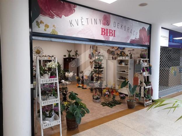 Pronájem obchodního prostoru, České Budějovice - České Budějovice 1, nám. Přemysla Otakara II., 30 m2
