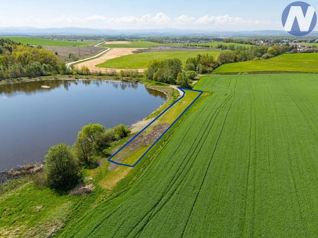 Pronájem louky, Olešník, 1256 m2