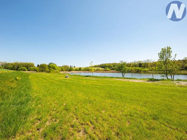 Pronájem louky, Olešník, 1256 m2