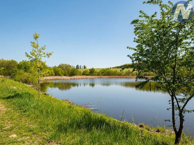 Pronájem louky, Olešník, 1256 m2