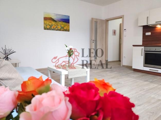 Pronájem bytu 1+kk, Příbor, Místecká, 29 m2