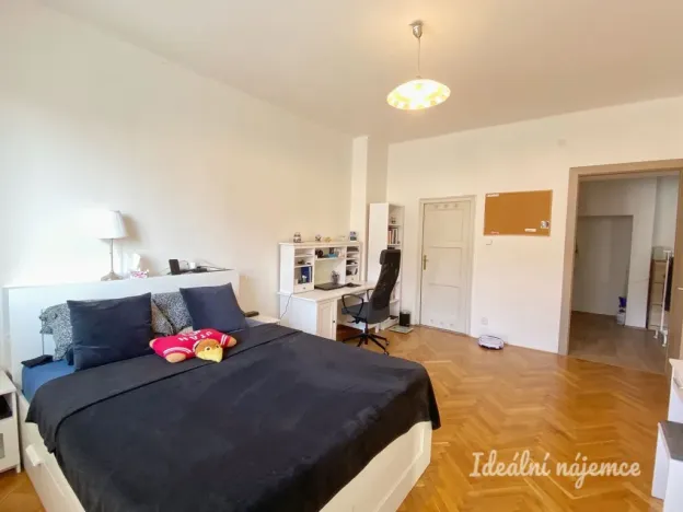 Pronájem bytu 1+1, Praha - Nusle, V Horkách, 52 m2