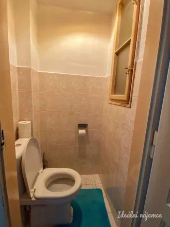 Pronájem bytu 1+1, Praha - Nusle, V Horkách, 52 m2