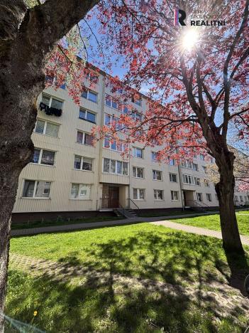 Prodej bytu 2+1, Horní Slavkov, Dlouhá, 49 m2