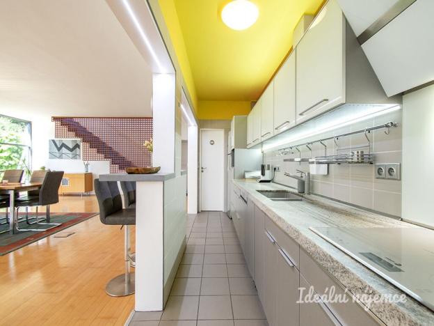 Pronájem rodinného domu, Šestajovice, K Úvozu, 280 m2