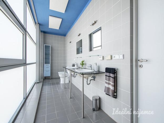 Pronájem rodinného domu, Šestajovice, K Úvozu, 280 m2