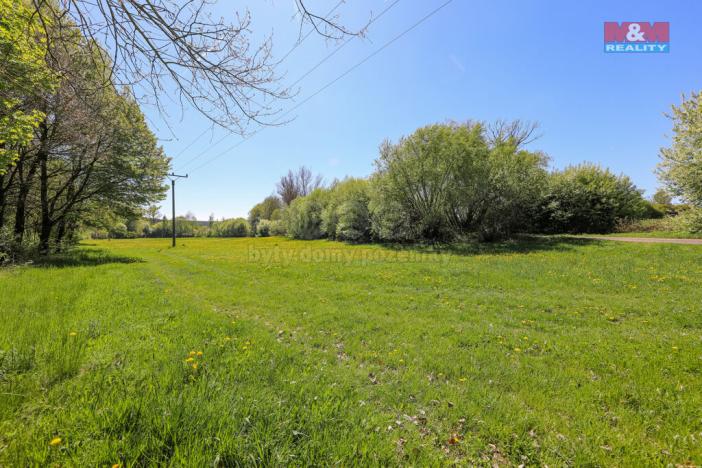 Prodej louky, Horní Bříza, U Kapličky, 4590 m2