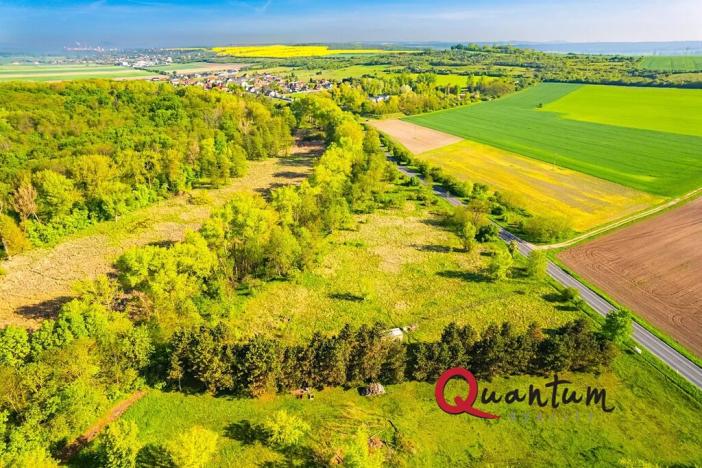 Prodej komerčního pozemku, Tišice, Mělnická, 6186 m2