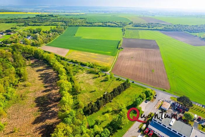 Prodej komerčního pozemku, Tišice, Mělnická, 6186 m2