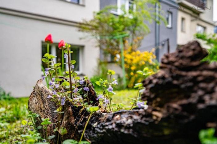 Prodej rodinného domu, Praha - Záběhlice, Hlavní, 102 m2