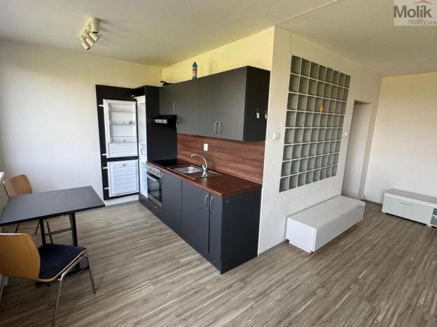 Pronájem bytu 1+1, Most, Javorová, 35 m2