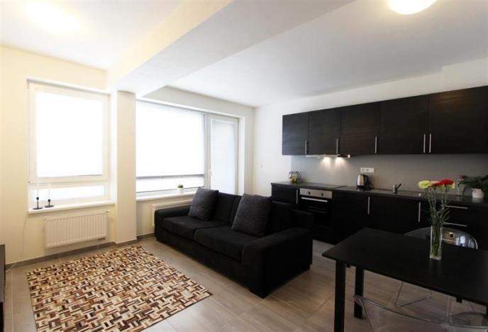 Pronájem bytu 1+kk, Brno, Kopečná, 32 m2