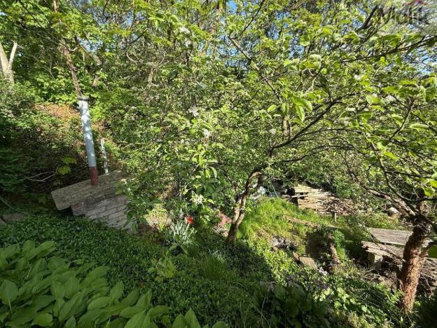 Prodej zahrady, Lom - Loučná, Podkrušnohorská, 443 m2