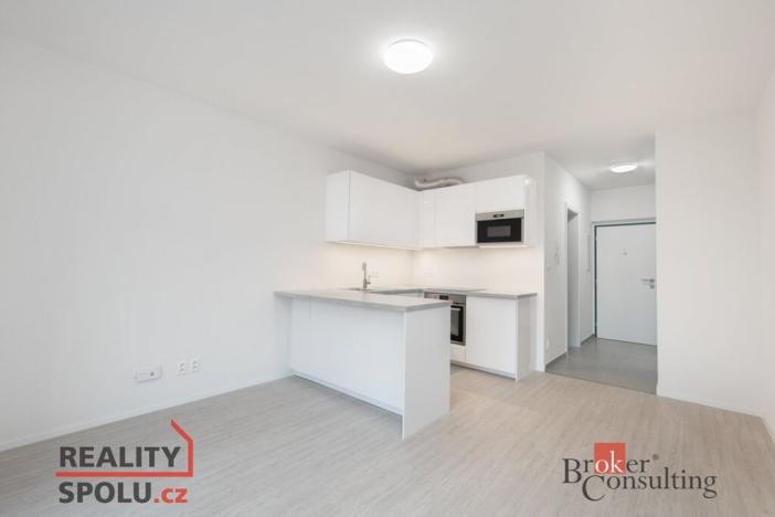 Pronájem bytu 1+kk, Plzeň - Východní Předměstí, Kartónová, 30 m2