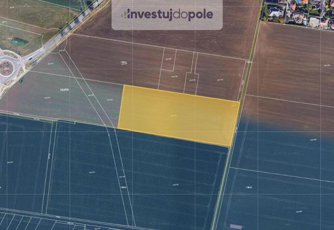 Prodej pole, Moravany, 12960 m2