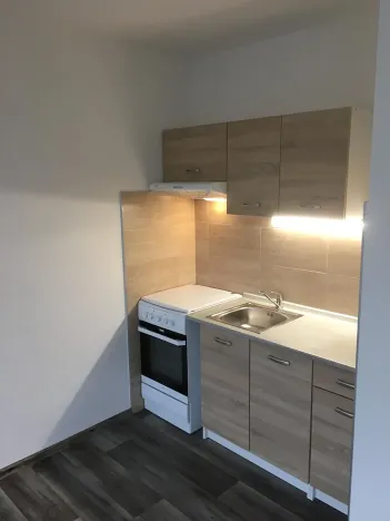 Pronájem bytu 1+1, Frýdlant, Lesní, 43 m2