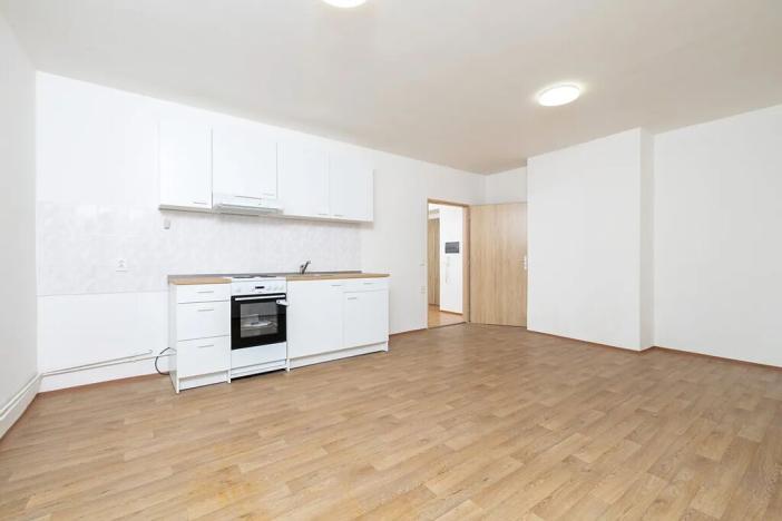 Pronájem bytu 1+kk, Třemešná, 40 m2