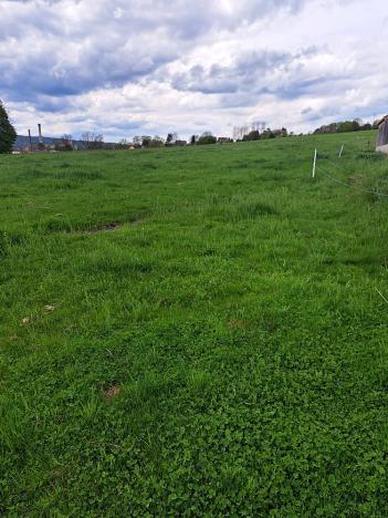 Prodej pozemku, Rybniště, 1243 m2