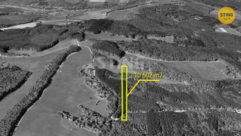 Prodej lesa, Suchá Loz, 10502 m2
