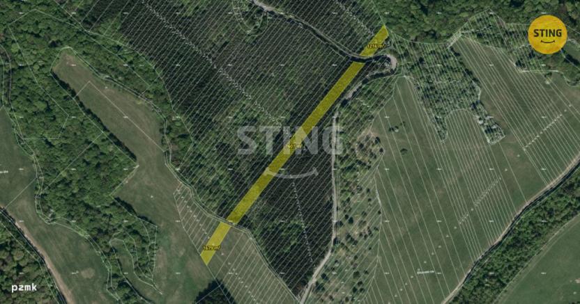 Prodej lesa, Suchá Loz, 10502 m2