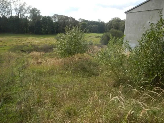 Prodej skladu, Habry, Sázavská, 790 m2