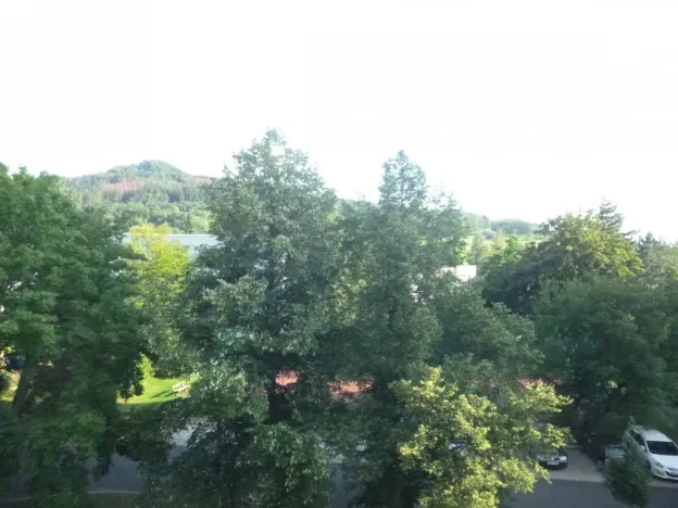 Pronájem bytu 1+kk, Děčín - Děčín III-Staré Město, Žerotínova, 22 m2