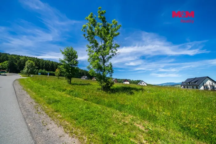 Prodej pozemku pro bydlení, Červená Voda, 1251 m2