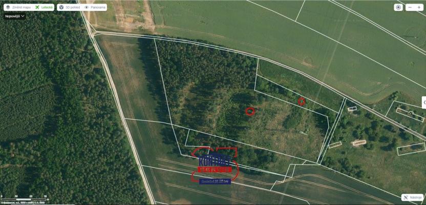 Prodej lesa, Bítouchov, 100105 m2