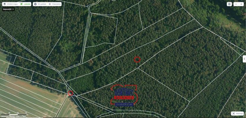 Prodej lesa, Bítouchov, 100105 m2