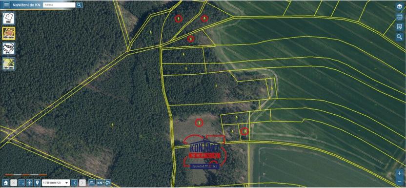 Prodej lesa, Bítouchov, 100105 m2