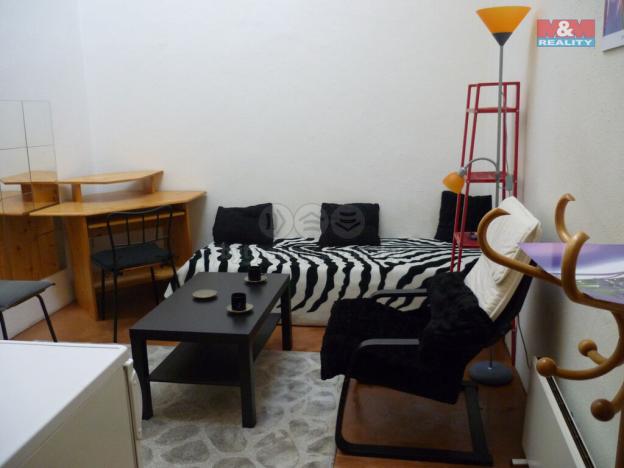 Pronájem bytu 1+kk, Praha - Vinohrady, Mánesova, 15 m2