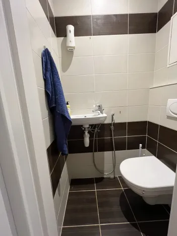 Pronájem bytu 3+1, Olomouc - Nová Ulice, Kmochova, 75 m2