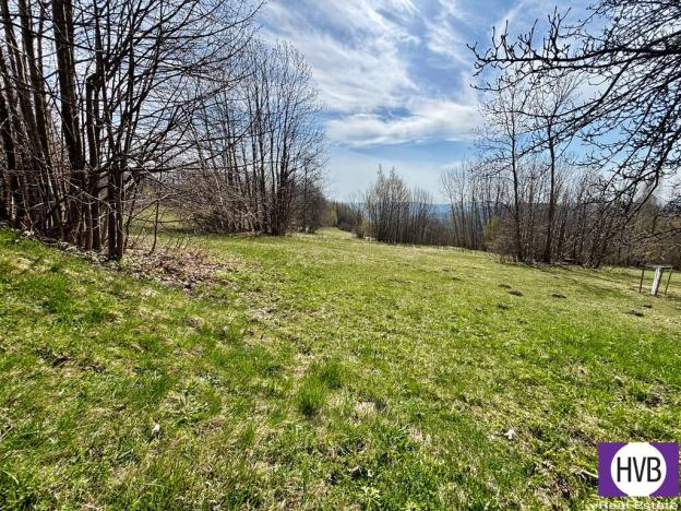 Pronájem pozemku pro bydlení, Velké Hamry, 4241 m2