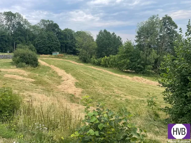 Pronájem pozemku pro bydlení, Velké Hamry, 4241 m2