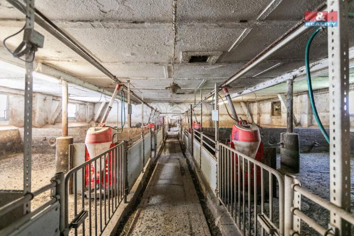 Prodej zemědělského objektu, Mrákov - Starý Klíčov, 1446 m2