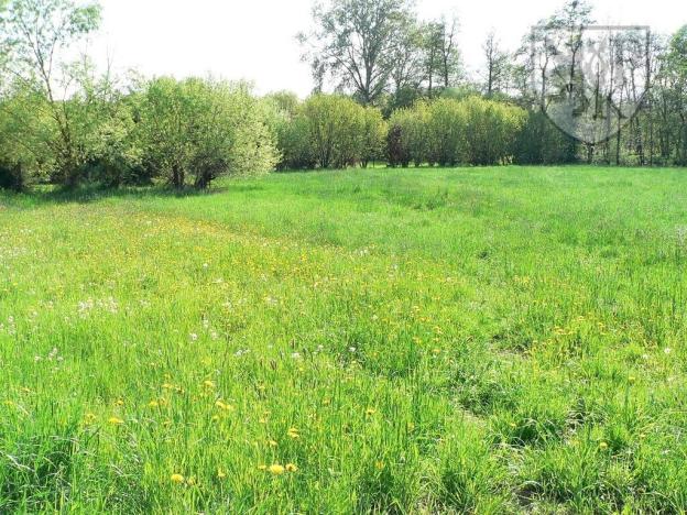 Prodej rodinného domu, Bavorov - Svinětice, 320 m2