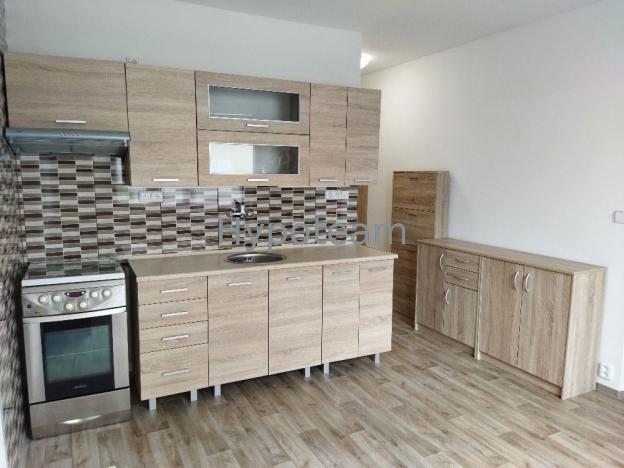 Pronájem bytu 1+1, Ústí nad Labem - Klíše, Klíšská, 36 m2