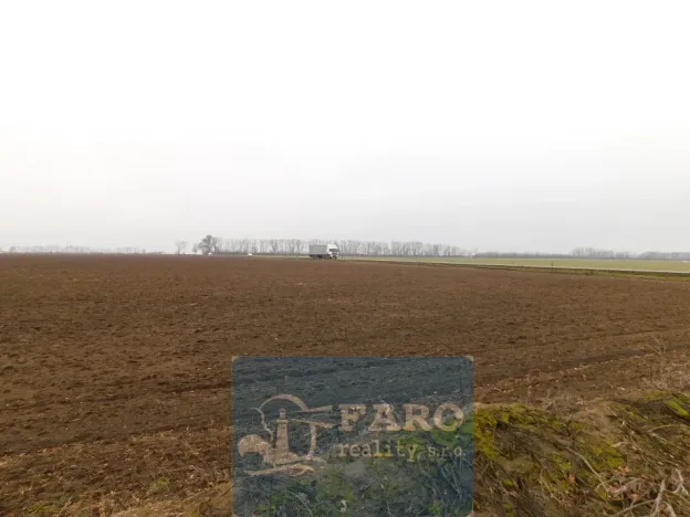 Prodej pole, Dyje, 8295 m2