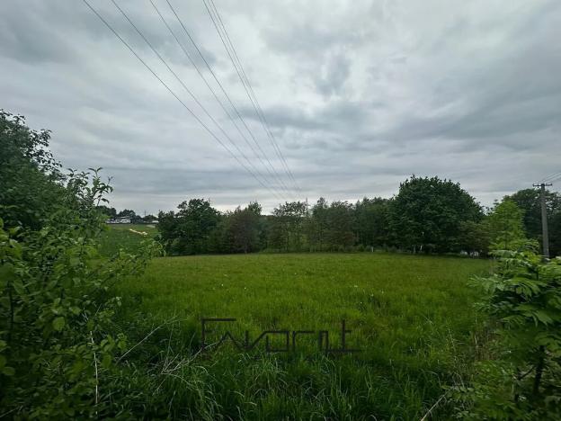Prodej pozemku pro bydlení, Orlová, 12978 m2