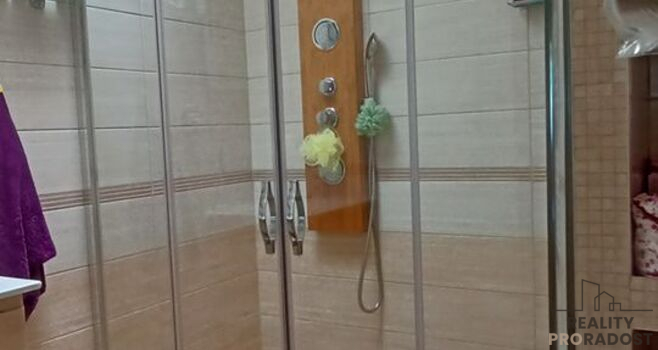 Prodej komerční nemovitosti, Bystřice, 220 m2