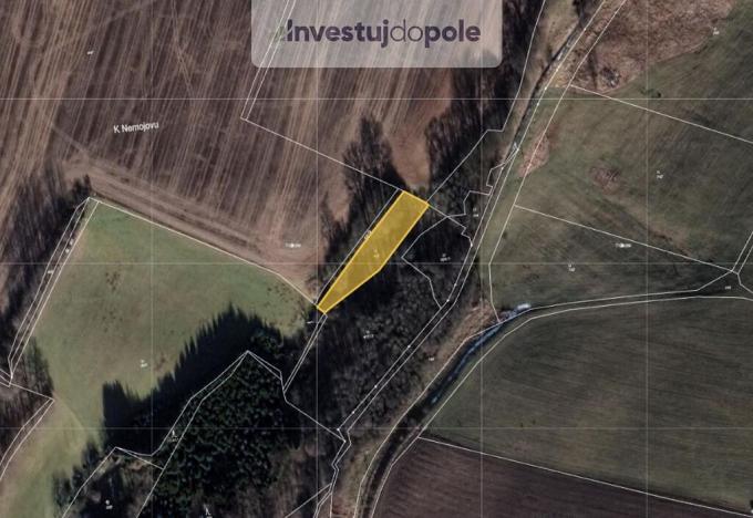 Prodej louky, Putimov, 1259 m2