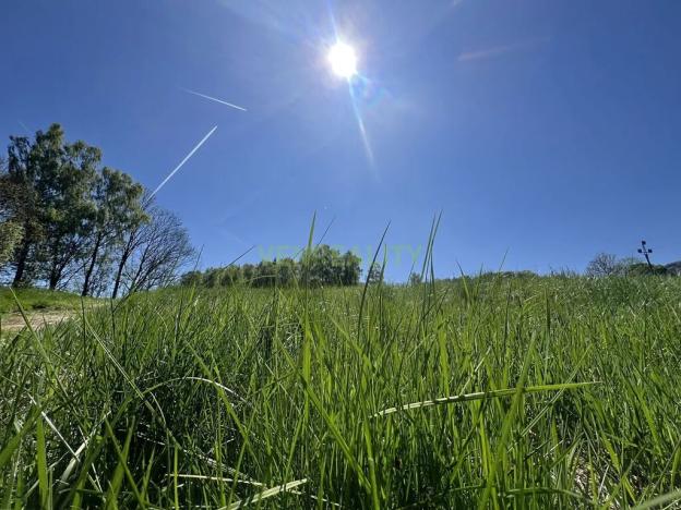 Prodej pozemku pro bydlení, Jiřetín pod Jedlovou, 40342 m2