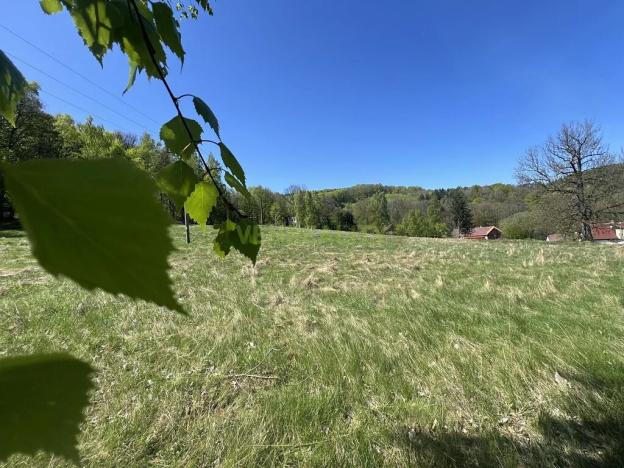 Prodej pozemku pro bydlení, Jiřetín pod Jedlovou, 40342 m2