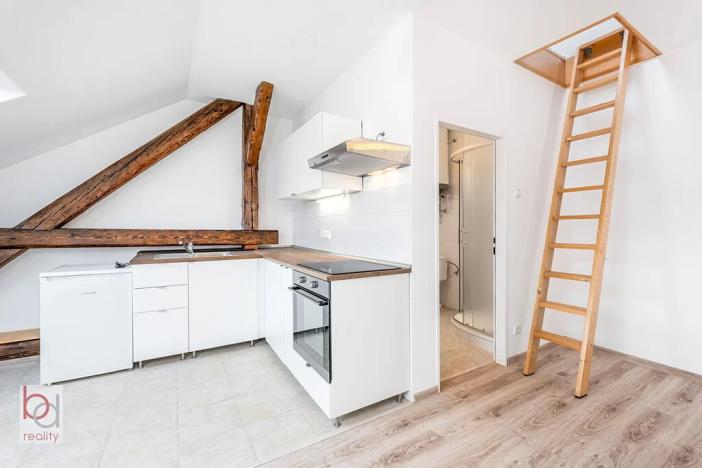 Pronájem bytu 1+kk, České Budějovice, Matice školské, 40 m2